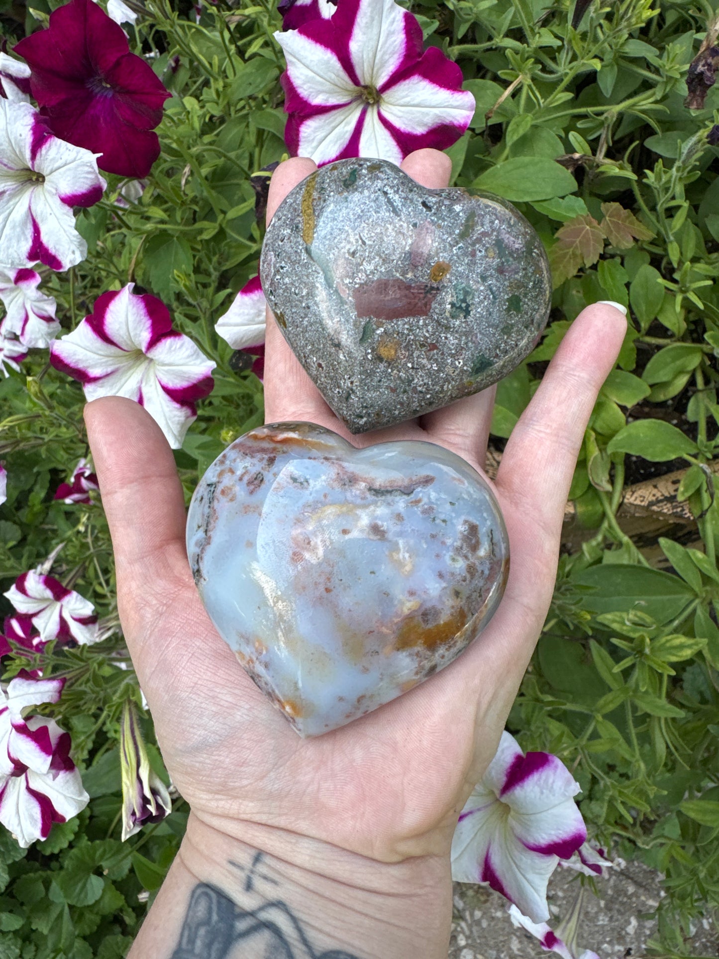 Sea Jasper Hearts
