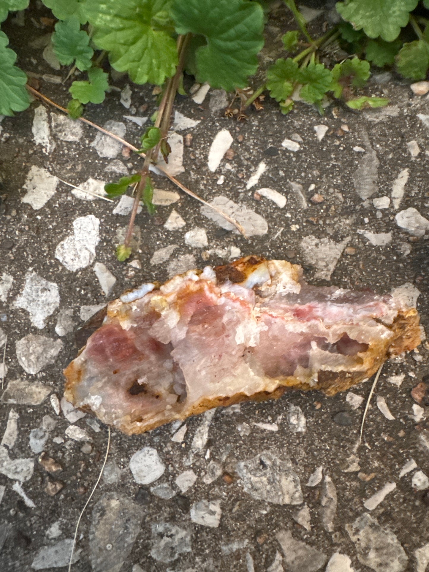 Pink Chalcedony