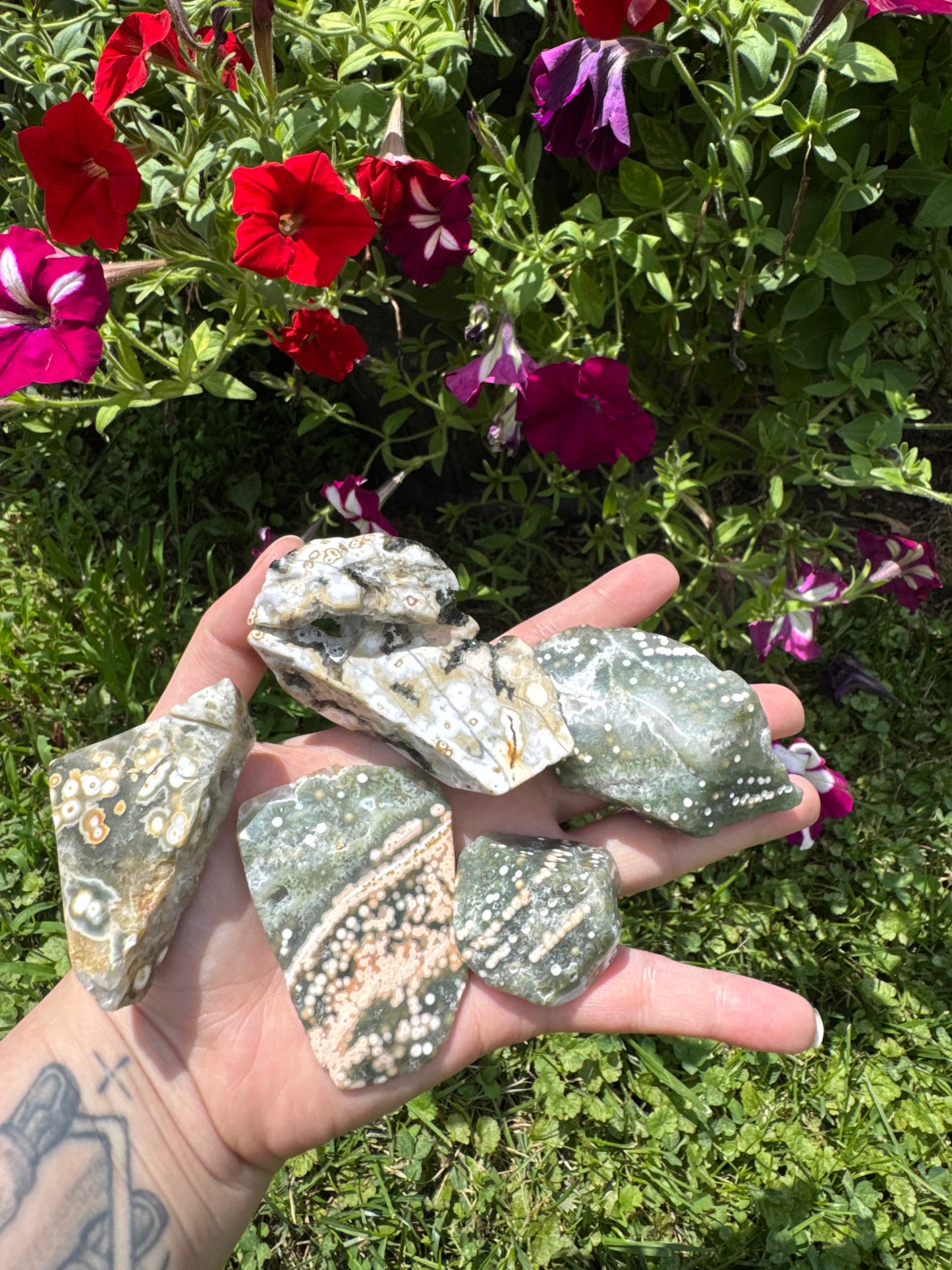 Moravato Genuine Ocean Jasper Set
