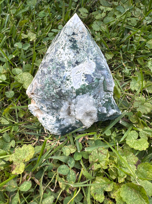 Tree Agate Polished Point - India