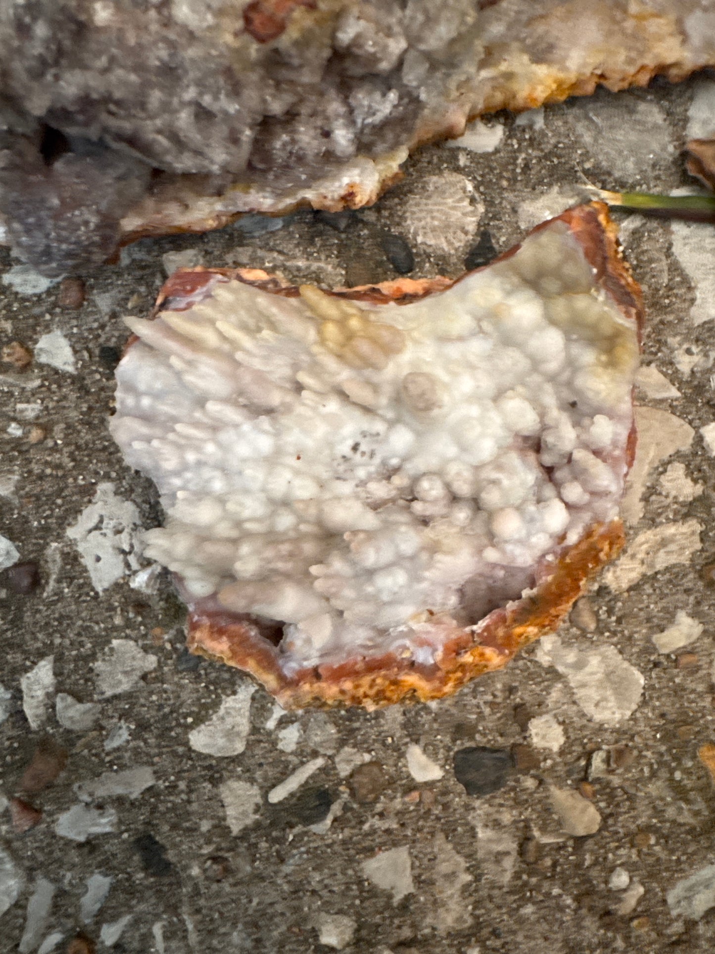 Pink Chalcedony