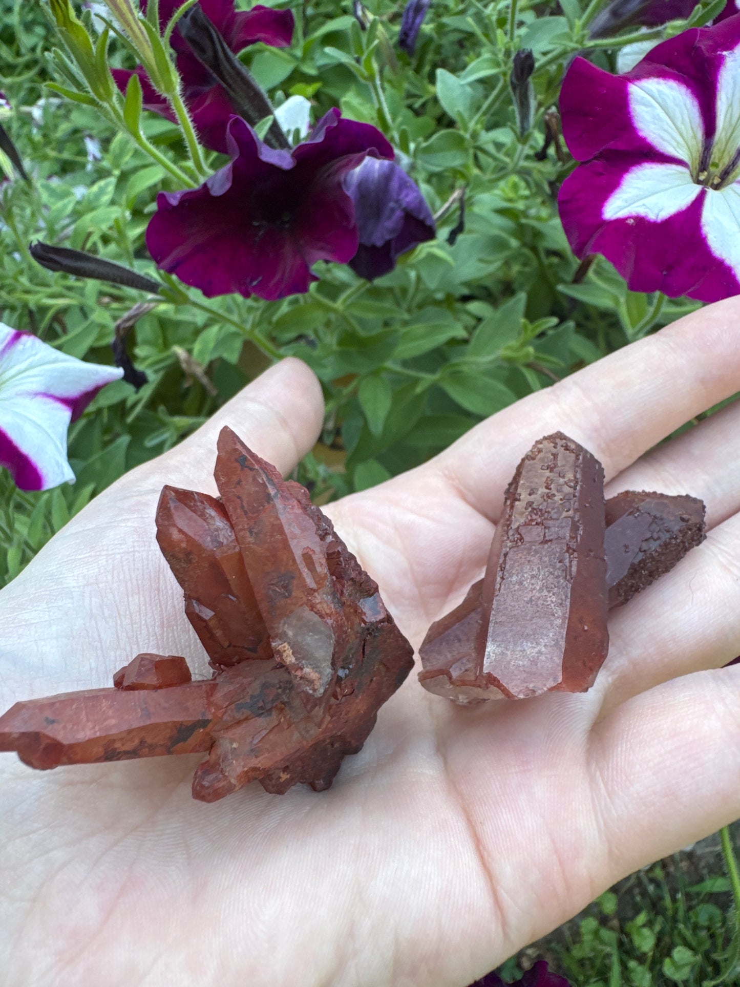 Red Quartz Set