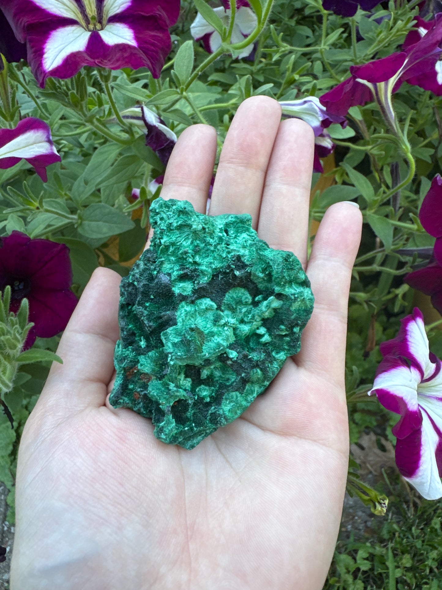 Raw Silky Malachite