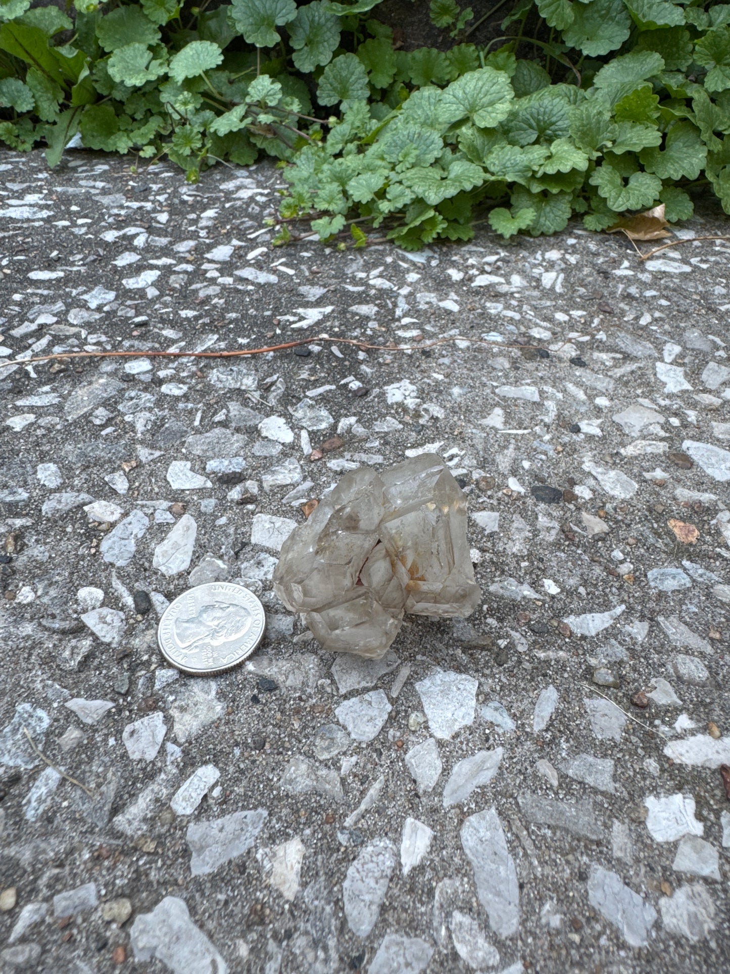 Skeleton Quartz