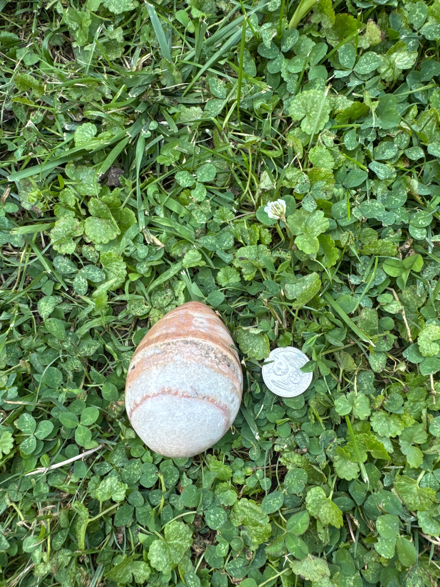 Banded Aragonite Egg