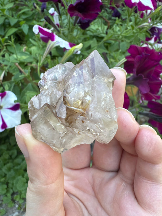 Skeleton Quartz