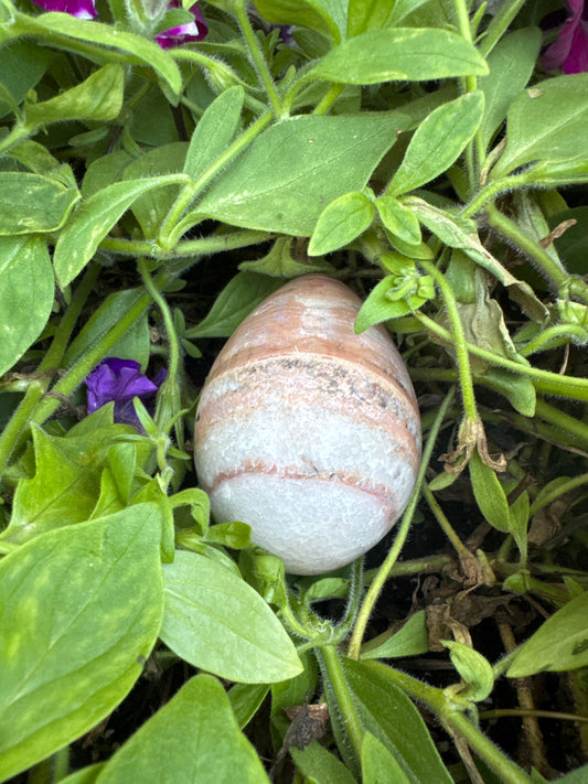 Banded Aragonite Egg