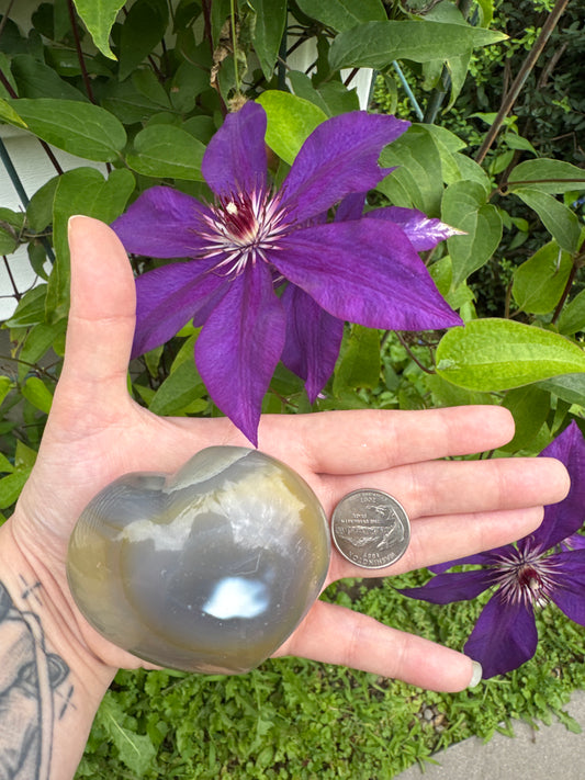 Orca Heart Agate