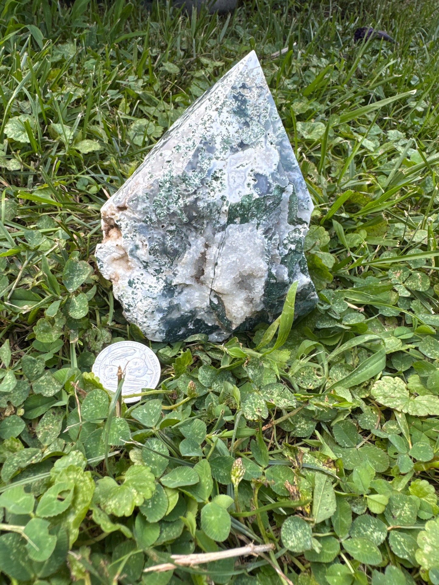 Tree Agate Polished Point - India
