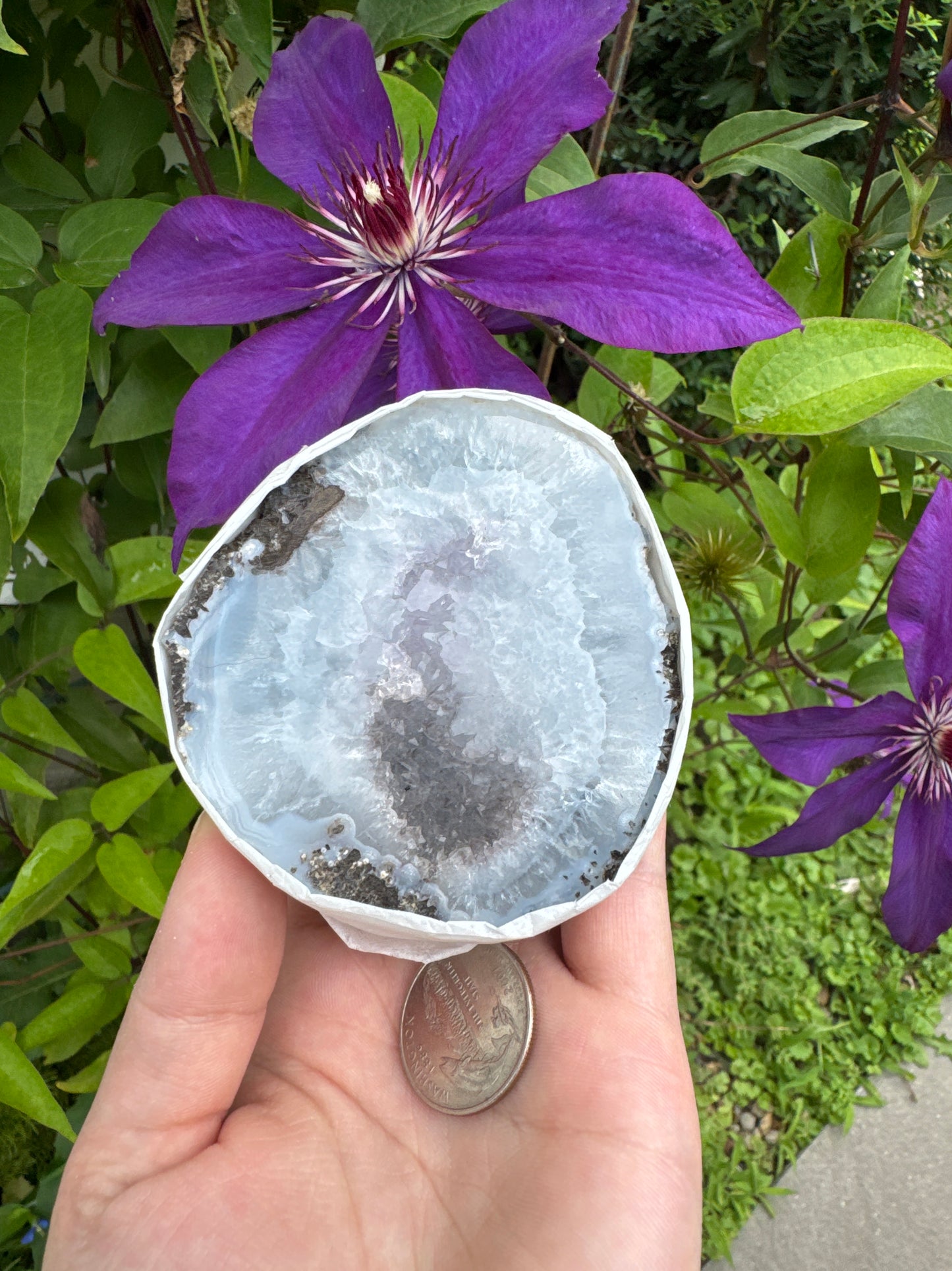 Mexican Thunder Egg Geode