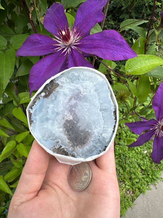 Mexican Thunder Egg Geode