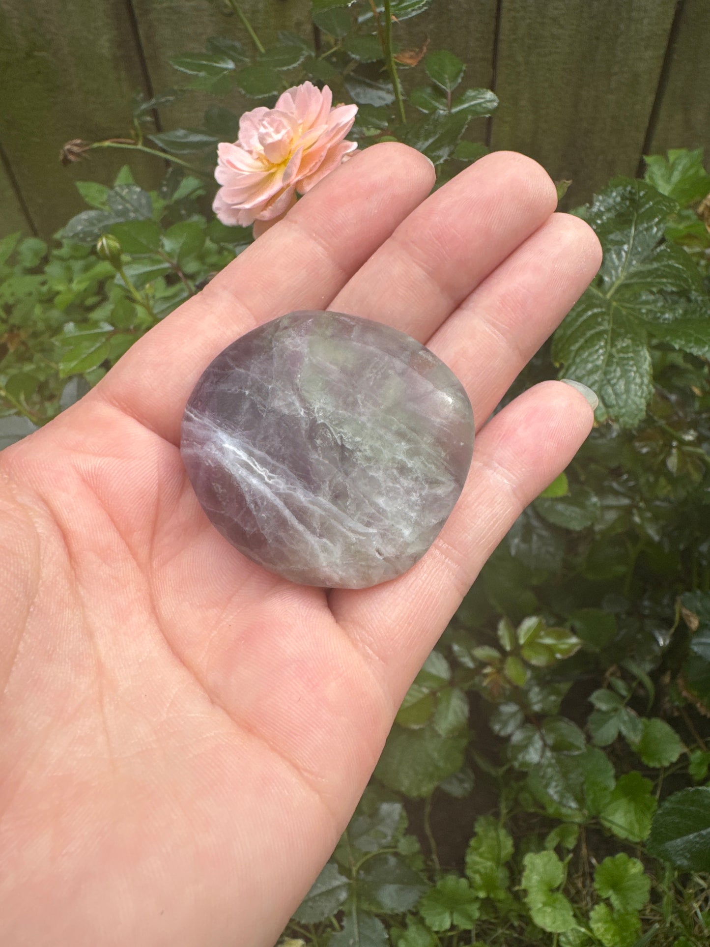 Fluorite Worry Stones