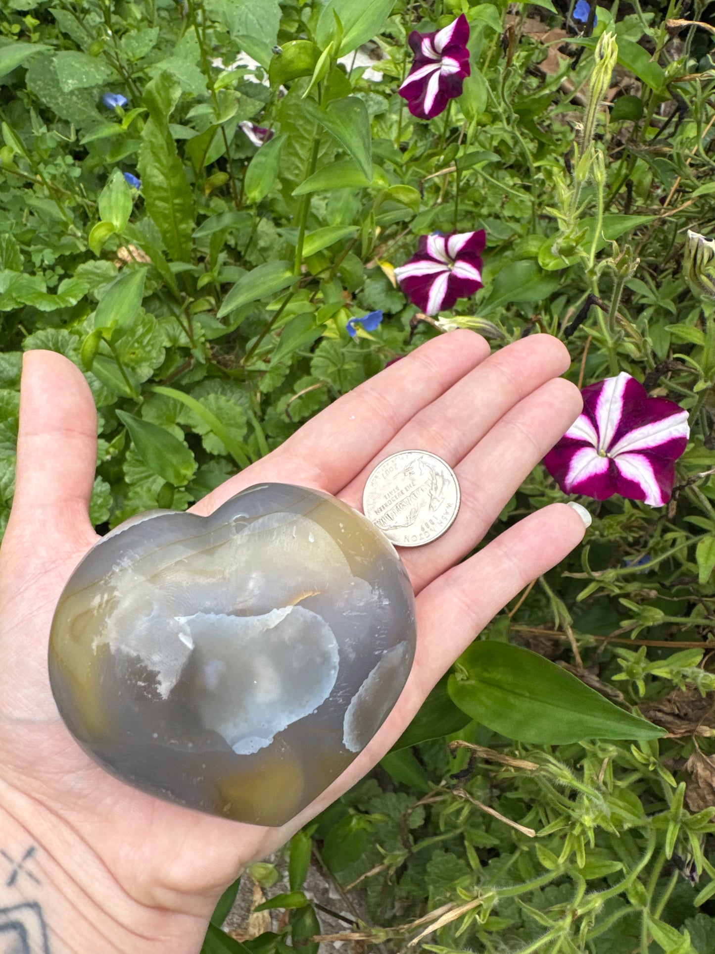 Orca Heart Agate